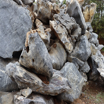 惠州庭院園林景觀石廠家天然太湖石庭院造景窟窿石自然石批發